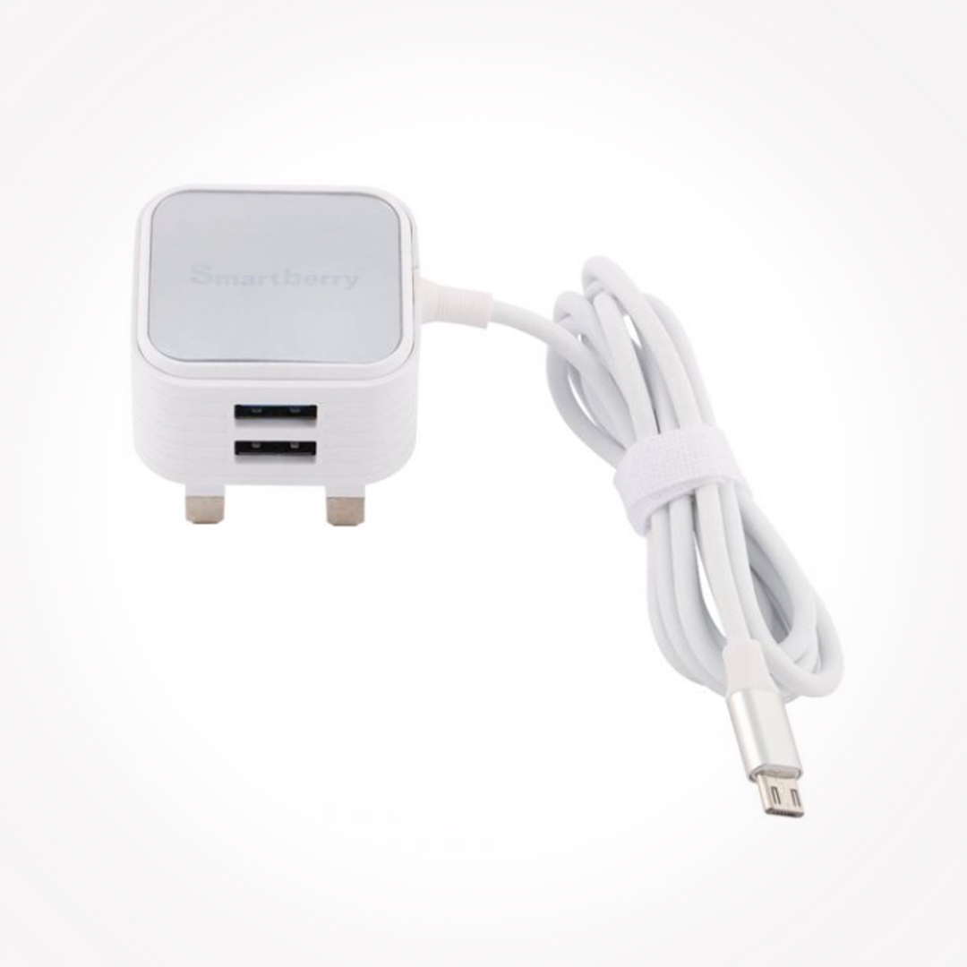 3-1a-fast-charger-rapid-charging-for-your-devices-c302